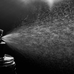 NICHES-EXTRAIT DE PARFUM